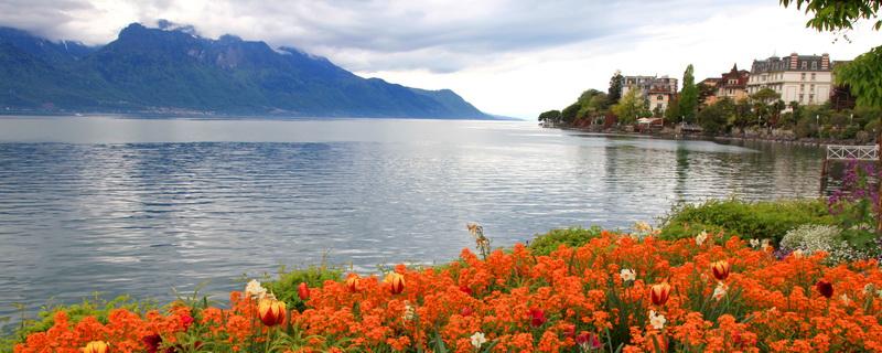 Buy property in Montreux