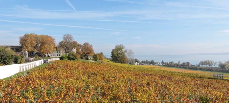 Down the road on the bank of Lake Geneva